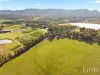 482-542 McDonalds Road, Pokolbin, NSW 2320-Image