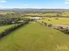 482-542 McDonalds Road, Pokolbin, NSW 2320-Image