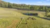 482B Lambs Valley Road, Lambs Valley, NSW 2335-Image