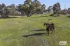 4851 Ararat-St Arnaud Road, Paradise, Vic 3477-Image