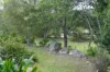 487 Paddys Flat Road, Tabulam, NSW 2469-Image