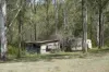 487 Paddys Flat Road, Tabulam, NSW 2469-Image