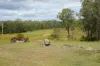 487 Paddys Flat Road, Tabulam, NSW 2469-Image