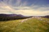 48b + 48c Saddle Road, Buangor VIC 3375-Image