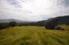 48b + 48c Saddle Road, Buangor VIC 3375-Image