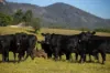 49 Maddens Lane, Wards River VIA, Gloucester NSW 2422-Image