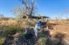 490 Cheeney Road, Eva Valley, NT 0822-Image
