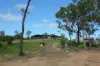 491 Hills Road, Berajondo, Qld 4674-Image