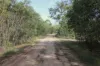 491 Hills Road, Berajondo, Qld 4674-Image