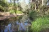 491 Hills Road, Berajondo, Qld 4674-Image
