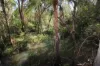 491 Hills Road, Berajondo, Qld 4674-Image