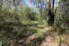 491 Hills Road, Berajondo, Qld 4674-Image