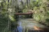 491 Hills Road, Berajondo, Qld 4674-Image