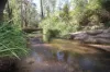 491 Hills Road, Berajondo, Qld 4674-Image