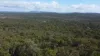 492 Capricornia Drive, Deepwater, Qld 4674-Image