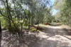 492 Capricornia Drive, Deepwater, Qld 4674-Image