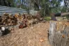 492 Capricornia Drive, Deepwater, Qld 4674-Image