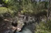 492 Capricornia Drive, Deepwater, Qld 4674-Image