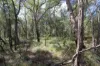 492 Capricornia Drive, Deepwater, Qld 4674-Image