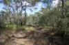 492 Capricornia Drive, Deepwater, Qld 4674-Image