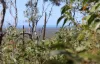 492 Capricornia Drive, Deepwater, Qld 4674-Image
