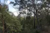 492 Capricornia Drive, Deepwater, Qld 4674-Image