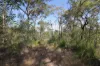 492 Capricornia Drive, Deepwater, Qld 4674-Image