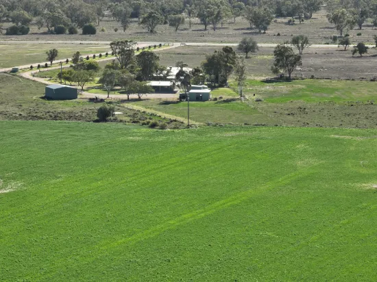 493 Goodar Road, Goondiwindi, Qld 4390