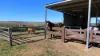 493 Goodar Road, Goondiwindi, Qld 4390-Image