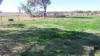 493 Goodar Road, Goondiwindi, Qld 4390-Image