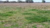 493 Goodar Road, Goondiwindi, Qld 4390-Image
