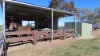 493 Goodar Road, Goondiwindi, Qld 4390-Image