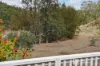 495 Riverlea Road (Riverlea), Mudgee, NSW 2850-Image