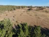 496 Inverary Road, Bungonia, NSW 2580-Image