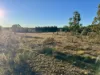 496 Inverary Road, Bungonia, NSW 2580-Image