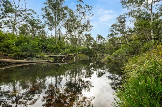 497 Northangera Road, Braidwood, NSW 2622
