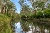 497 Northangera Road, Braidwood, NSW 2622-Image