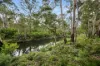 497 Northangera Road, Braidwood, NSW 2622-Image