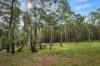 497 Northangera Road, Braidwood, NSW 2622-Image