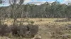 497 Wyanbene Road, Braidwood, NSW 2622-Image