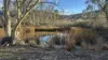 497 Wyanbene Road, Braidwood, NSW 2622-Image