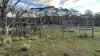 497 Wyanbene Road, Braidwood, NSW 2622-Image