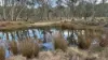 497 Wyanbene Road, Braidwood, NSW 2622-Image