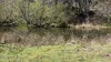 4972 Kings Highway, Monga, NSW 2622-Image