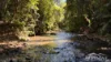 499 Old Cairns Track, Butchers Creek, Qld 4885-Image