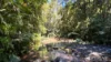 499 Old Cairns Track, Butchers Creek, Qld 4885-Image