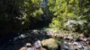499 Old Cairns Track, Butchers Creek, Qld 4885-Image