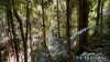 499 Old Cairns Track, Butchers Creek, Qld 4885-Image