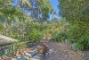 5 Witherby Crescent, Tamborine Mountain, Qld 4272-Image