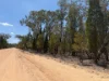 50, Kimberley Drive, Cypress Gardens, Qld 4357-Image